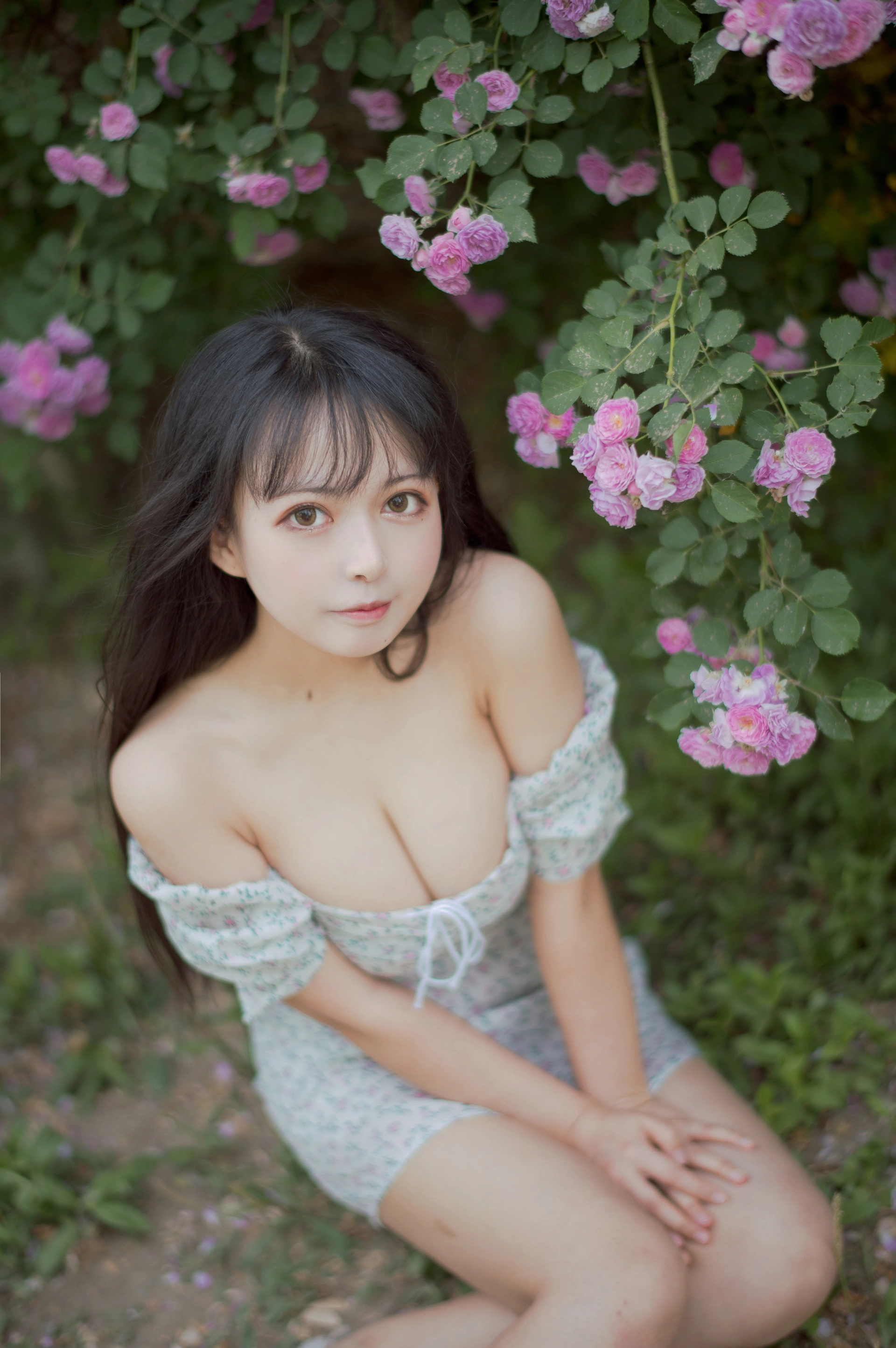 黑猫猫OvO - NO.23 蔷薇2 1